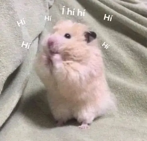 26 Chú hamster nhỏ giơ chân như đang chào, quanh nền có nhiều chữ Hi tạo cảnh đáng yêu mà vẫn hơi lầy