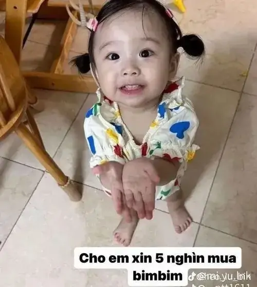12 Hình meme thiếu nhi vui nhộn bé gái tóc hai chùm cười tươi, dòng chữ xin năm nghìn mua bim bim nghe rất biết điều