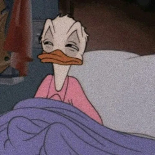50 49