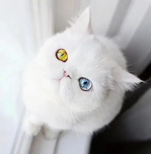 83 82