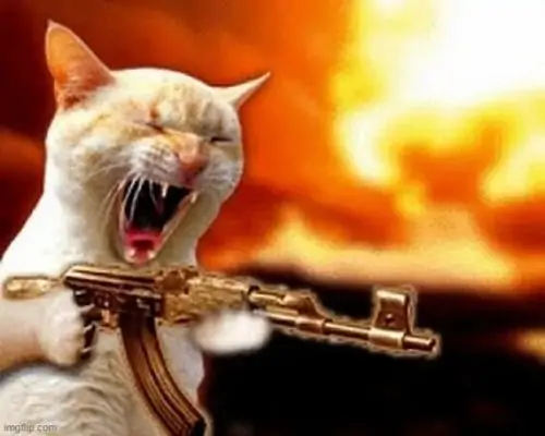 17 Bên bàn học bừa giấy, mèo mướp mặc áo len nhìn lườm về ống kính, khẩu súng nhựa cạnh tay tạo cảm giác bị làm phiền