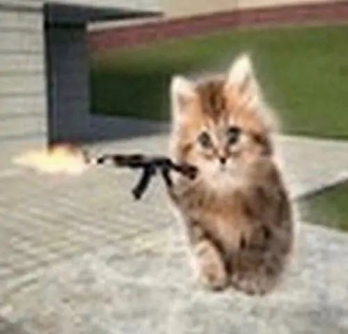 23 Trong nhóm chat gia đình, mèo vàng mặc khăn choàng đỏ cầm mô hình súng tỉa, vẻ mặt lạnh tanh như đang nhắc mọi người bớt trêu