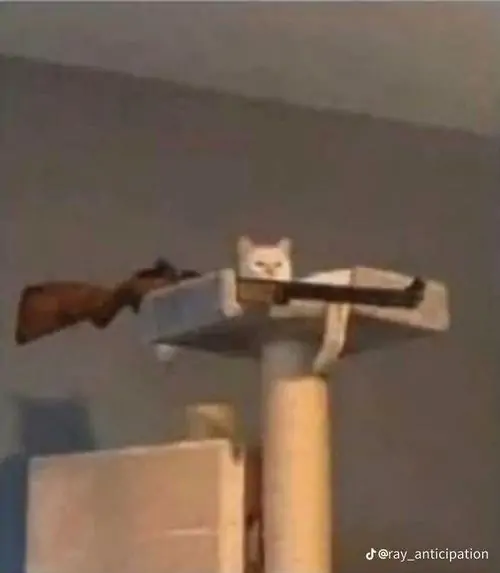 32 31