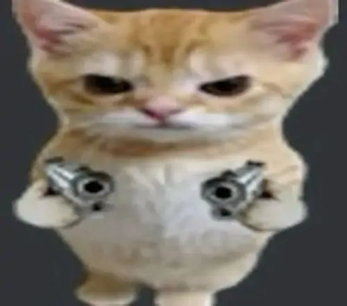 30 29