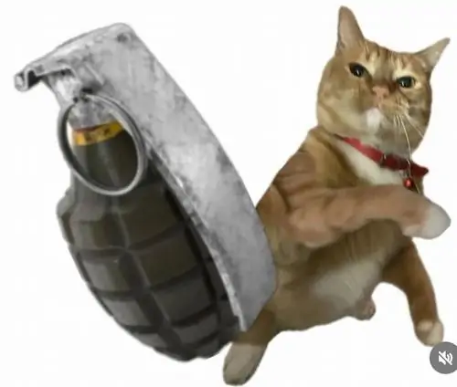 25 24