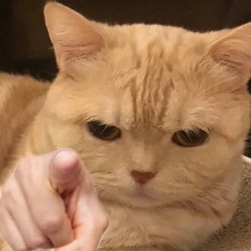 17 16