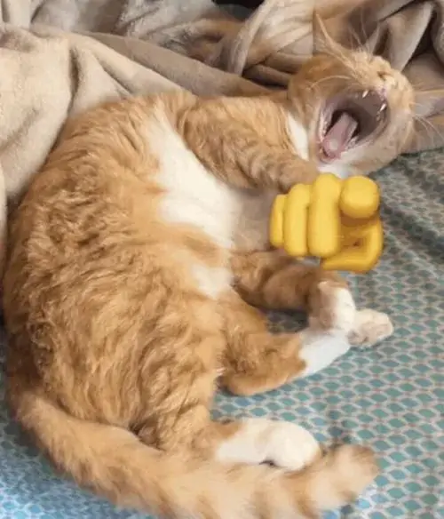 8 7
