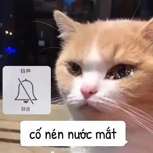 2 Cô gái áo len trắng ôm gối trên ghế, gương mặt rưng rưng như vừa đọc tin nhắn khiến cả nhóm lặng đi