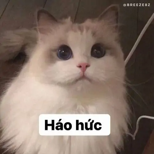 69 68