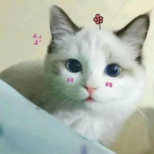 73 72