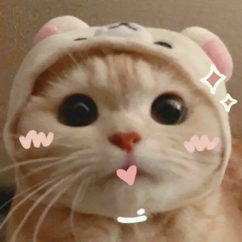 54 53