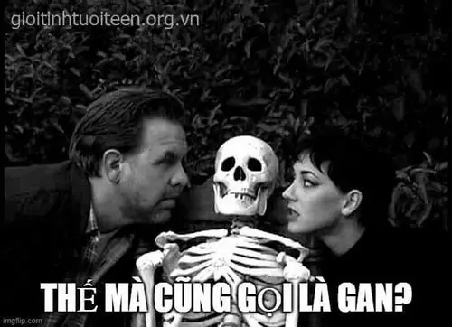 23 Ba người trong khung ảnh tối nhìn về phía đầu lâu, caption thế mà cũng gọi là gan khiến cảnh bí hiểm thành pha cà khịa