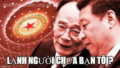 25 Khuôn mặt mèo được chụp cận cảnh với đôi mắt mở to, dòng chữ lớn như đang hỏi thẳng người xem có đang run không