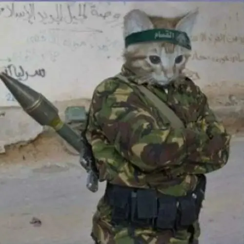 83 82