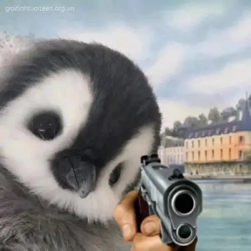 85 84