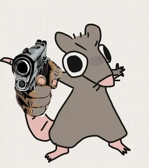 97 96