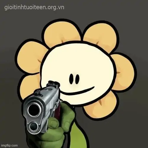 63 62