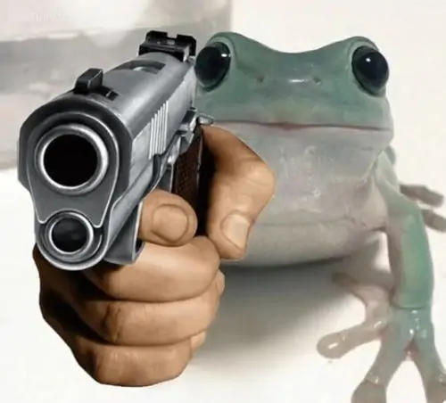65 64