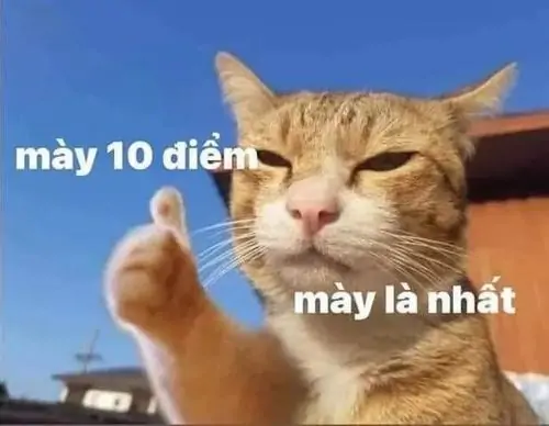 54 53