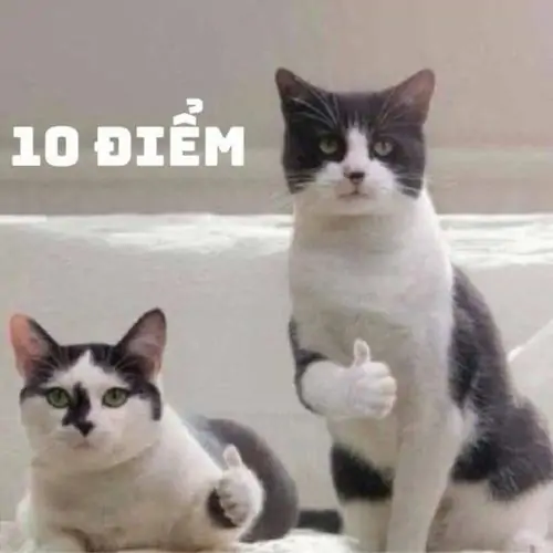 60 59