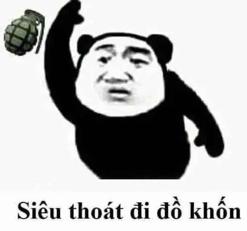 155 Ảnh meme gấu trúc Weibo hài hước diễn tả cảm giác hưởng thụ rất đời thường
