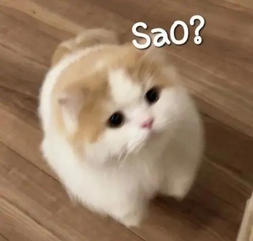 76 75