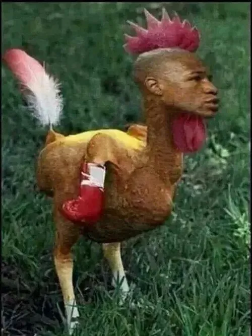 70 69