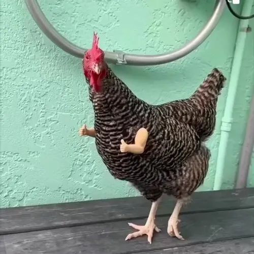 74 73