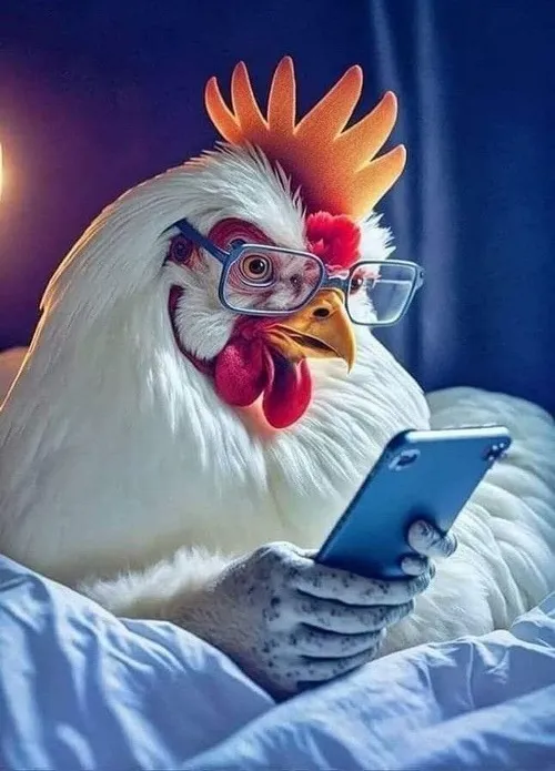 80 79