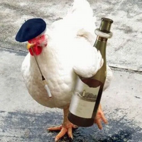 47 46