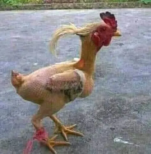 57 56