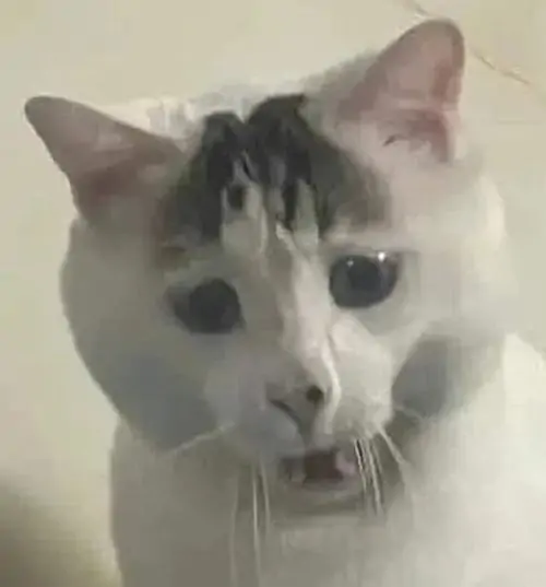 155 154