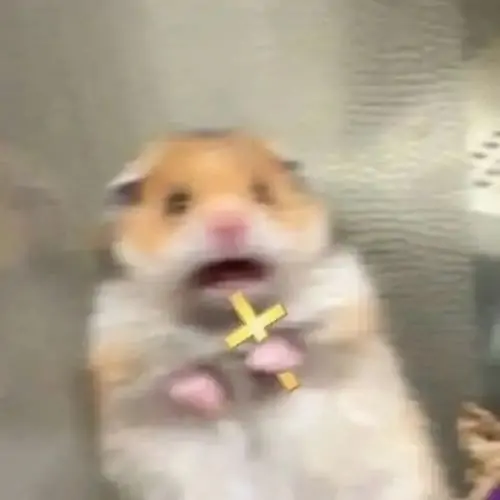 165 164