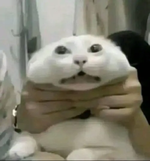 145 144