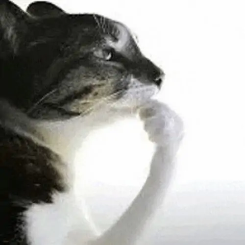 143 142