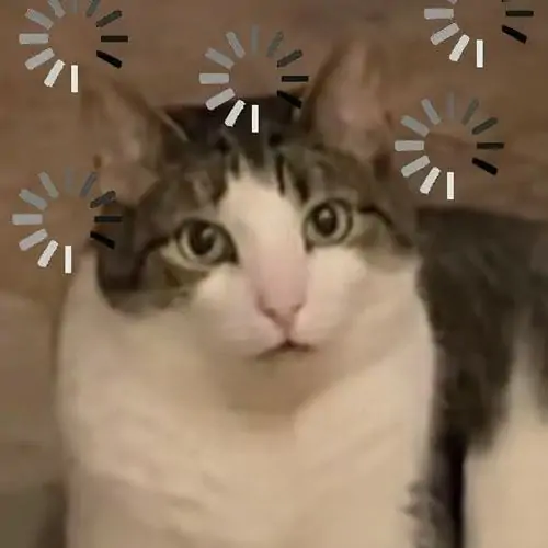 137 136