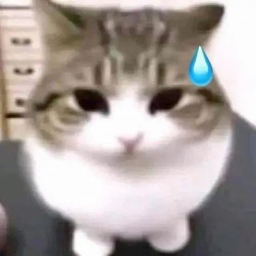 139 138