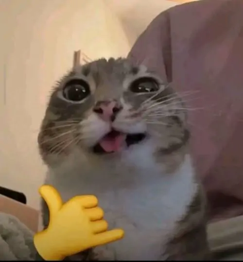 141 140