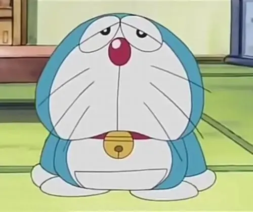 65 64