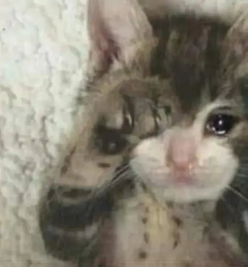 67 66