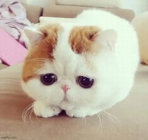 71 70
