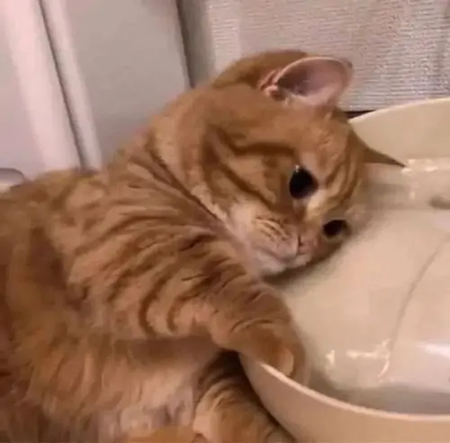73 72