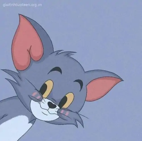 136 135
