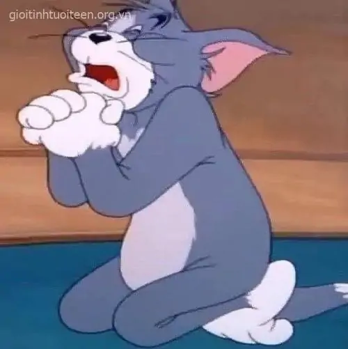 104 103