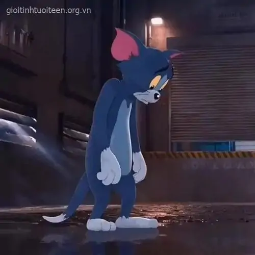108 107