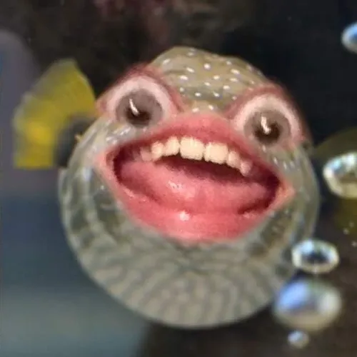 42 41
