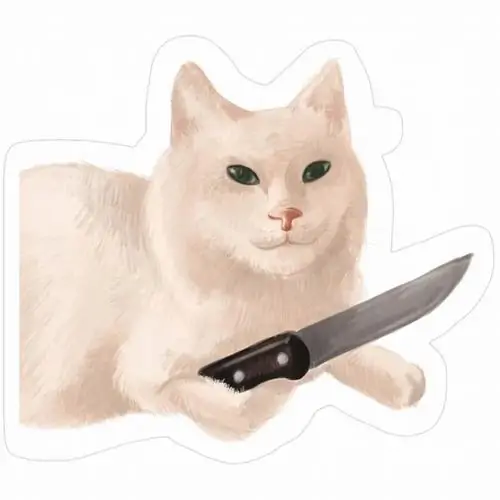 66 65