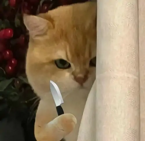 48 47