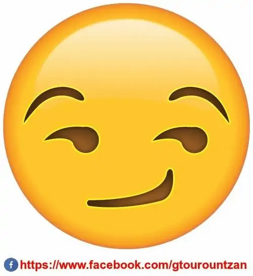 33 Biểu tượng mặt cười tròn màu vàng nháy một bên mắt với khuôn miệng gợn sóng đầy tinh nghịch tạo cảm giác đang trêu chọc người đối diện trực diện.