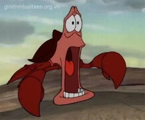 96 95